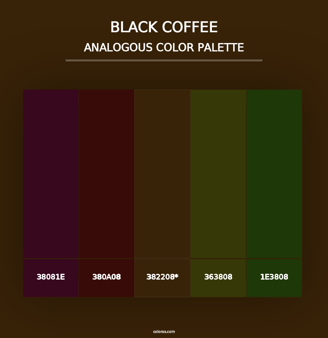 Black Coffee - Analogous Color Palette