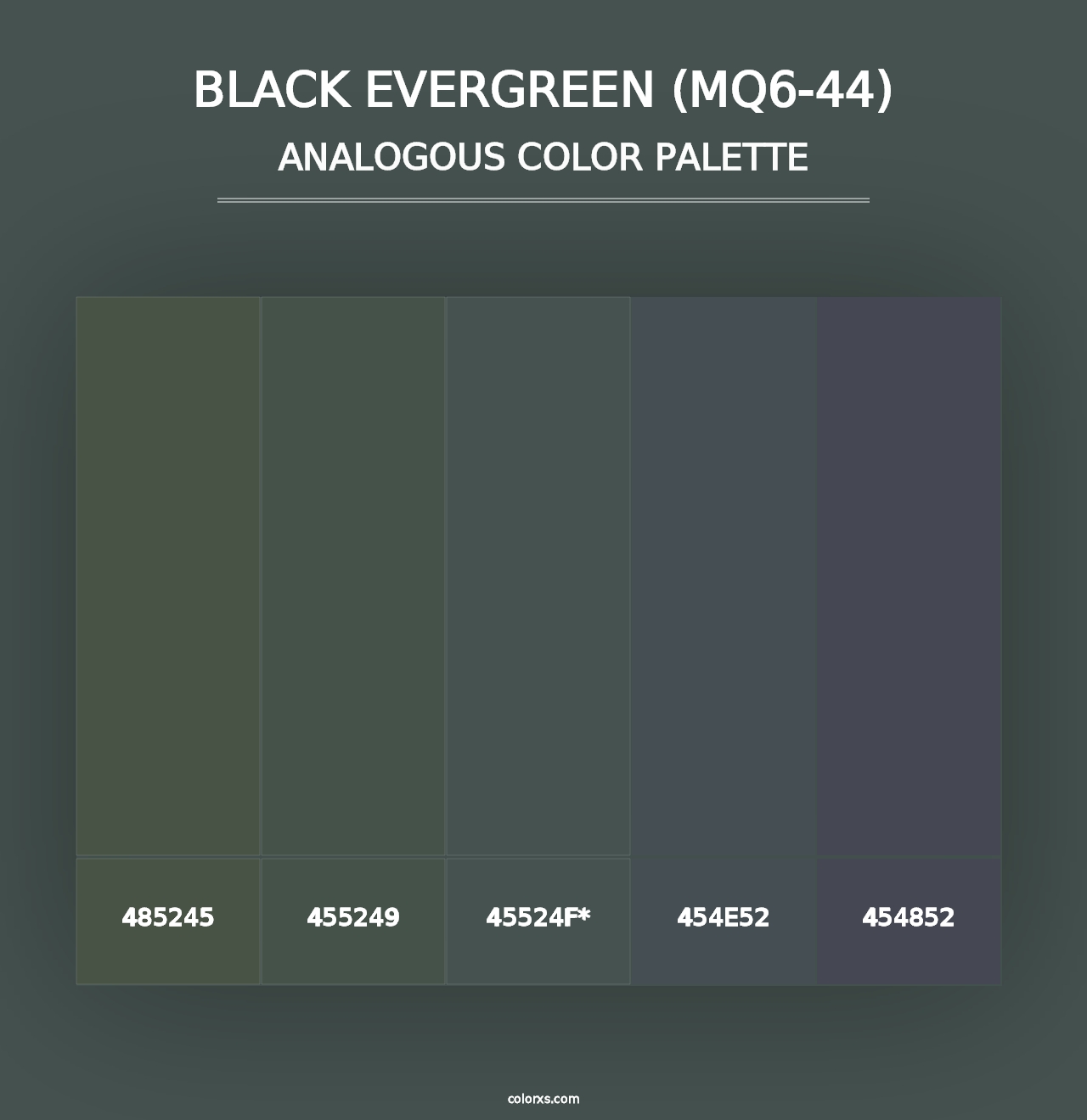 Black Evergreen (MQ6-44) - Analogous Color Palette