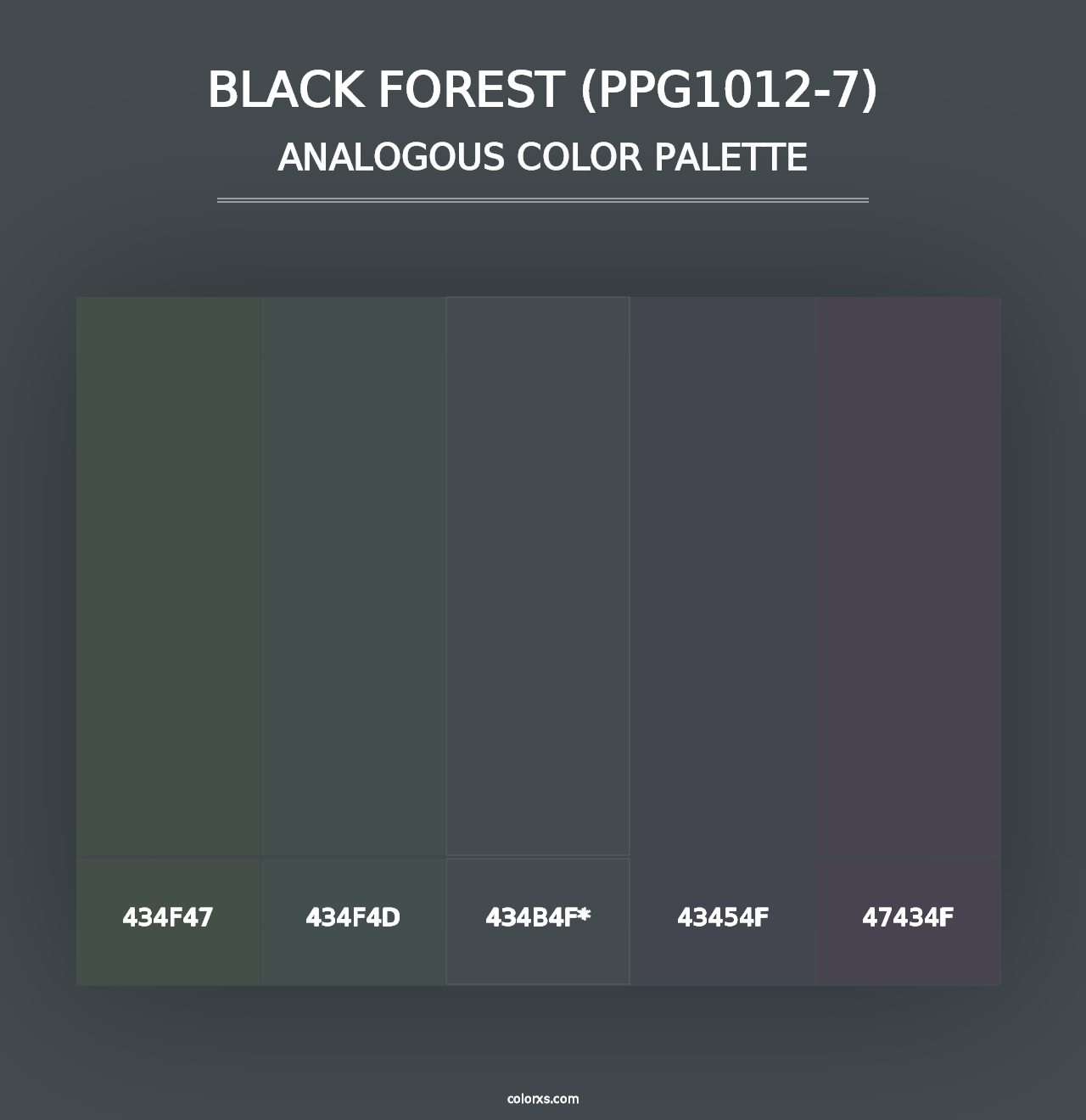 Black Forest (PPG1012-7) - Analogous Color Palette