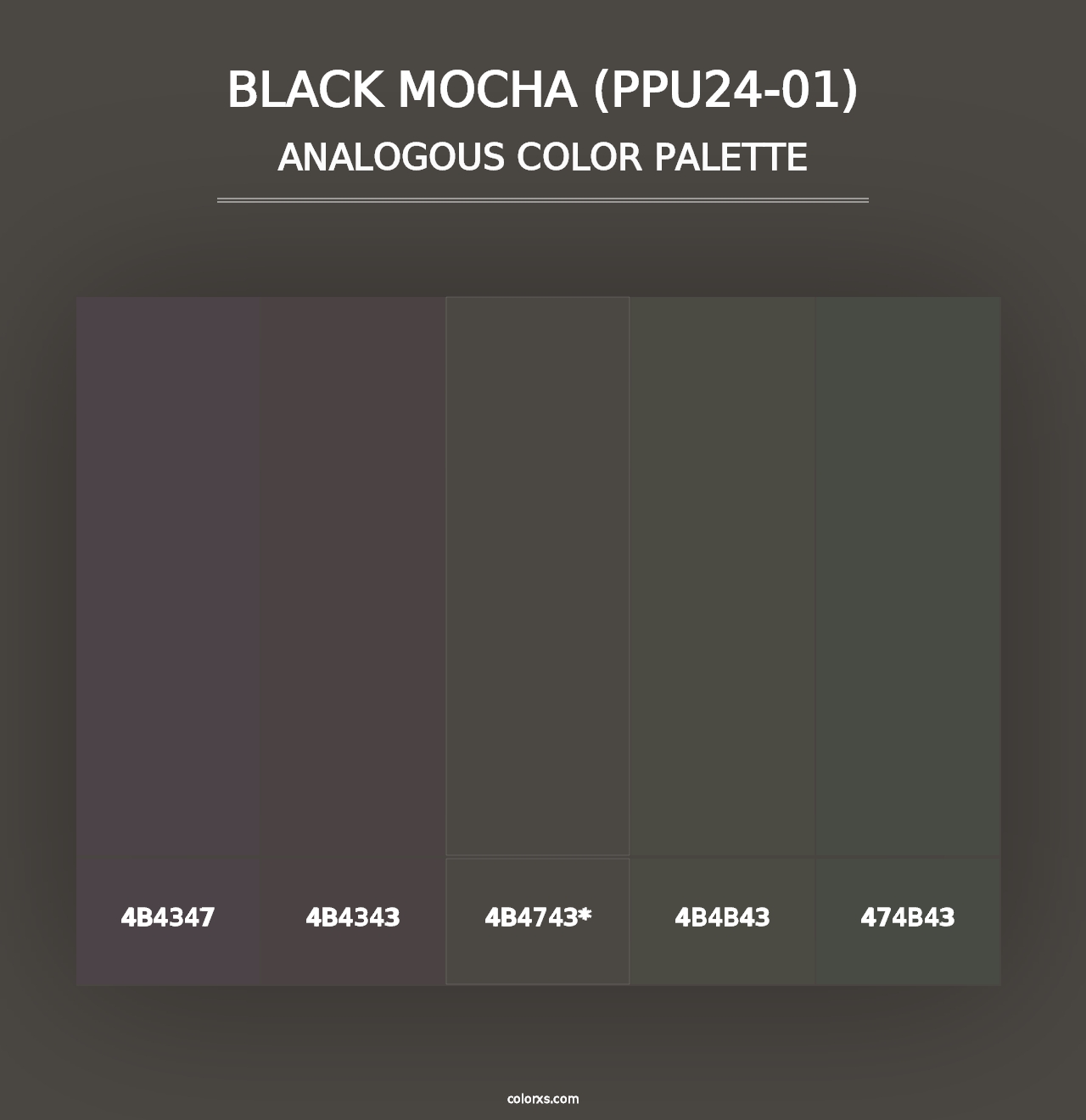 Black Mocha (PPU24-01) - Analogous Color Palette