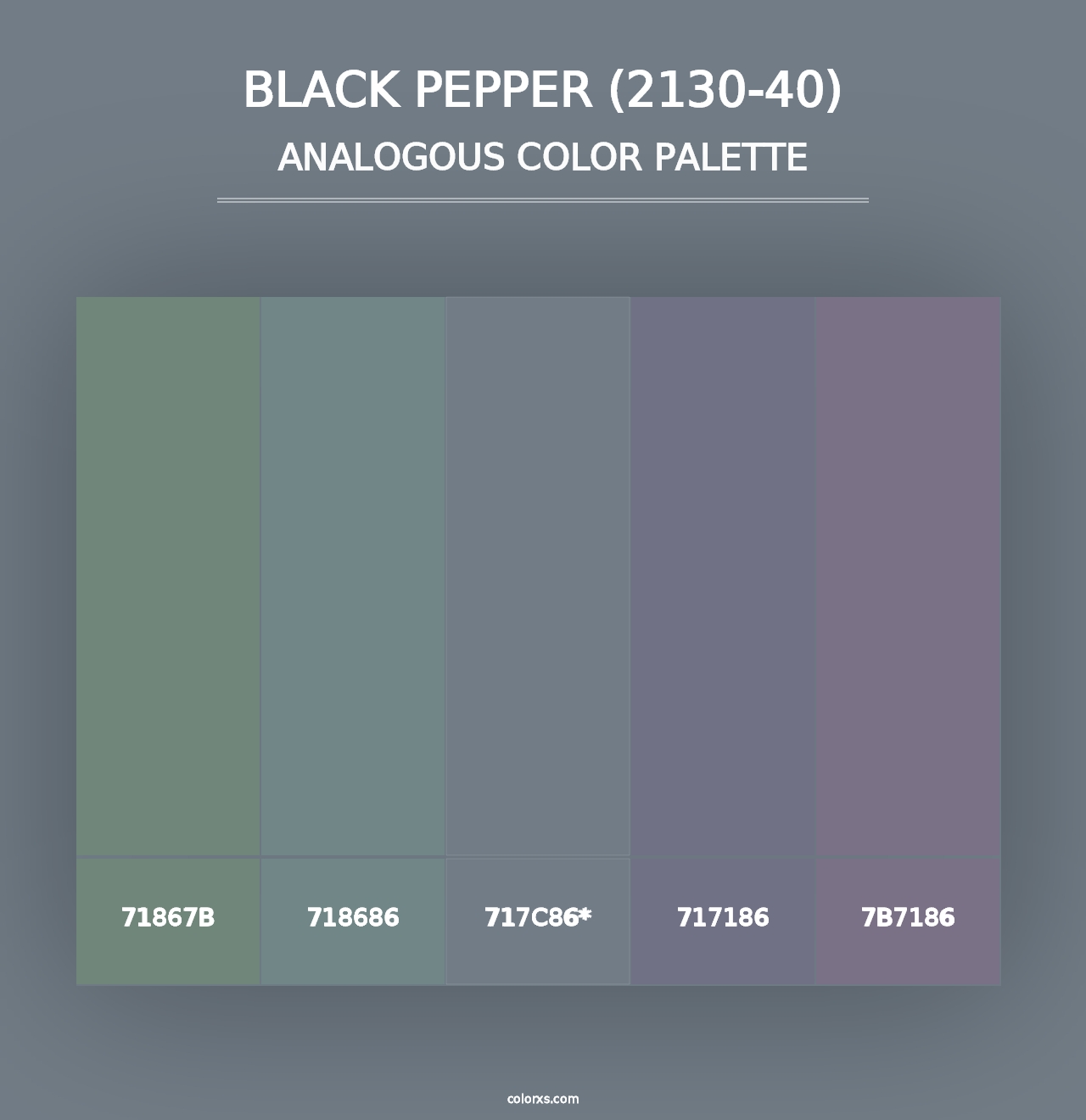 Black Pepper (2130-40) - Analogous Color Palette