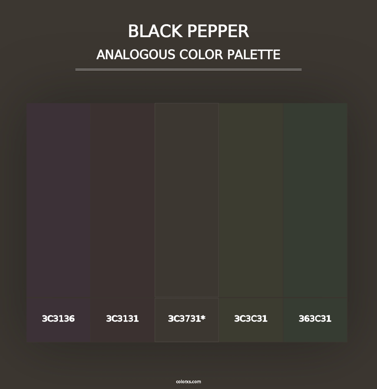 Black Pepper - Analogous Color Palette