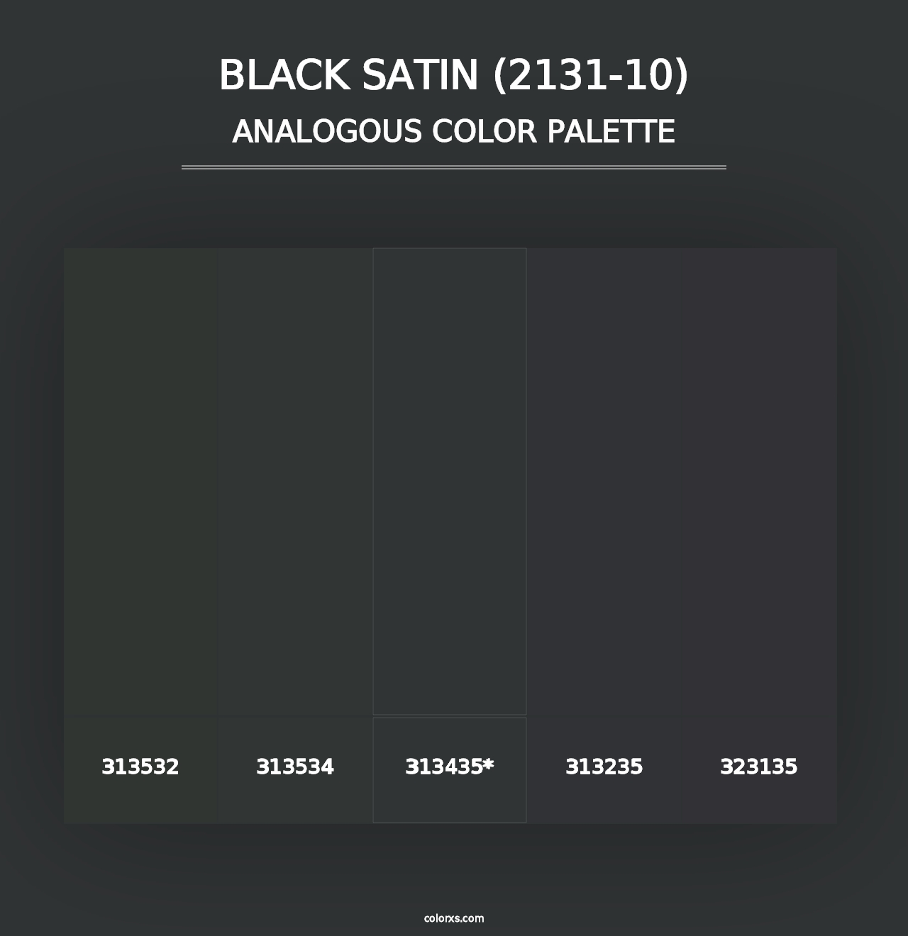 Black Satin (2131-10) - Analogous Color Palette