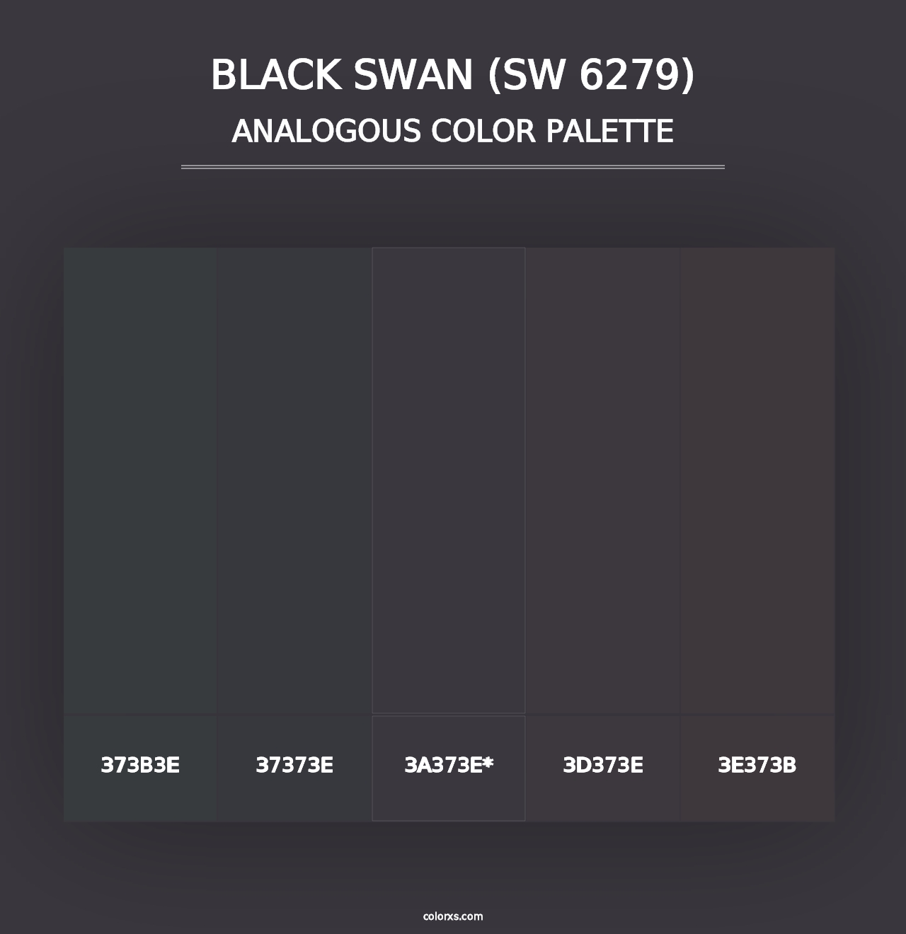 Black Swan (SW 6279) - Analogous Color Palette