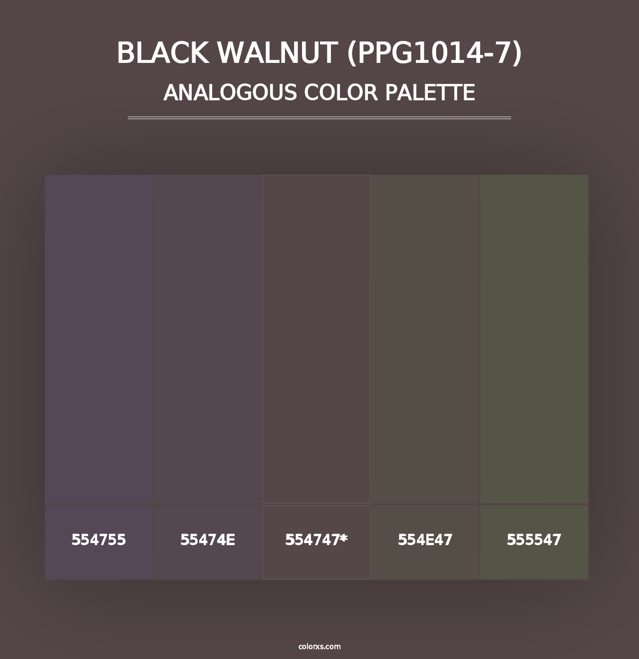 Black Walnut (PPG1014-7) - Analogous Color Palette