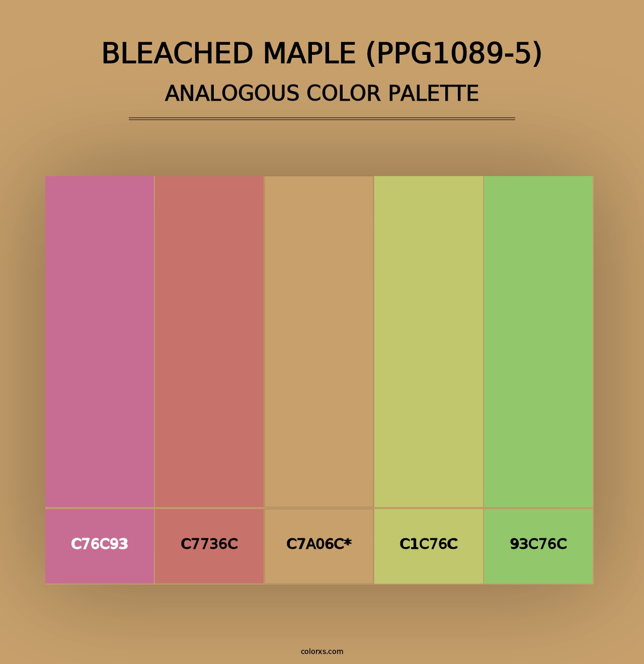 Bleached Maple (PPG1089-5) - Analogous Color Palette