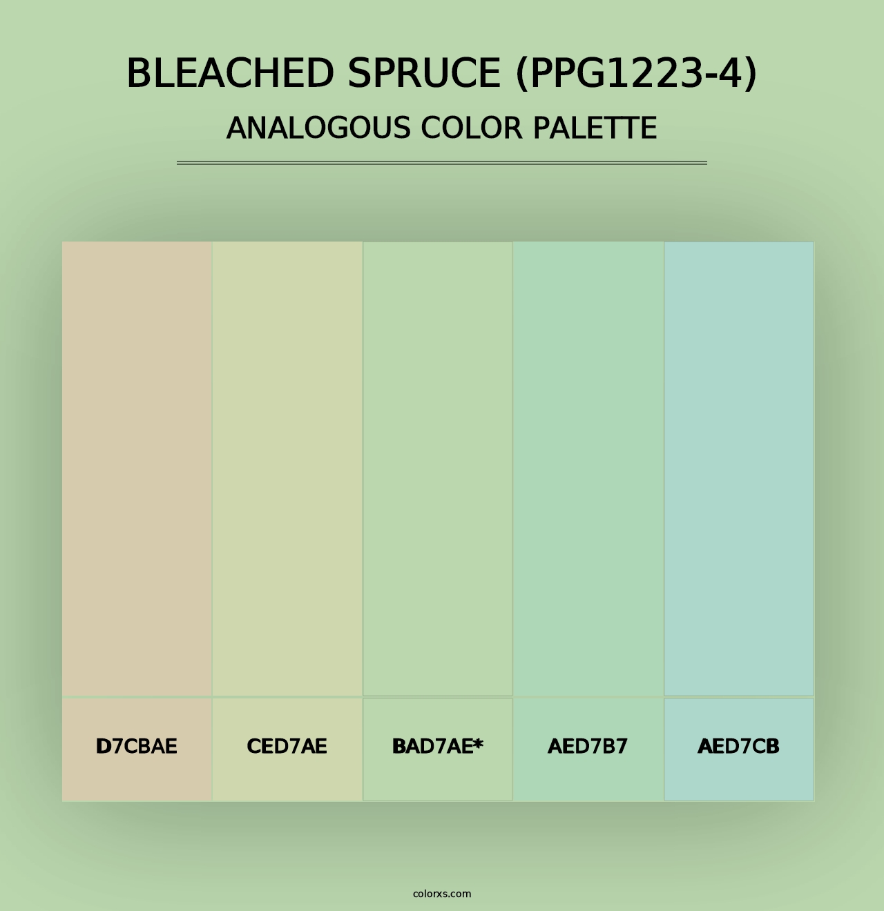 Bleached Spruce (PPG1223-4) - Analogous Color Palette