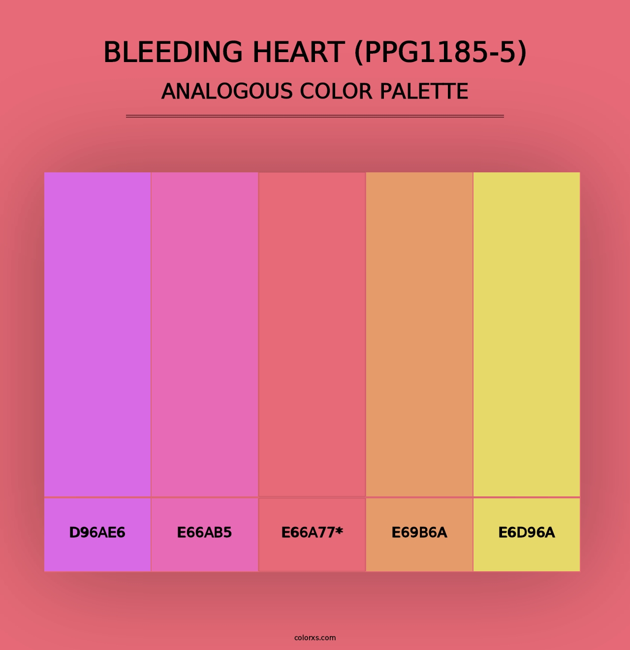 Bleeding Heart (PPG1185-5) - Analogous Color Palette