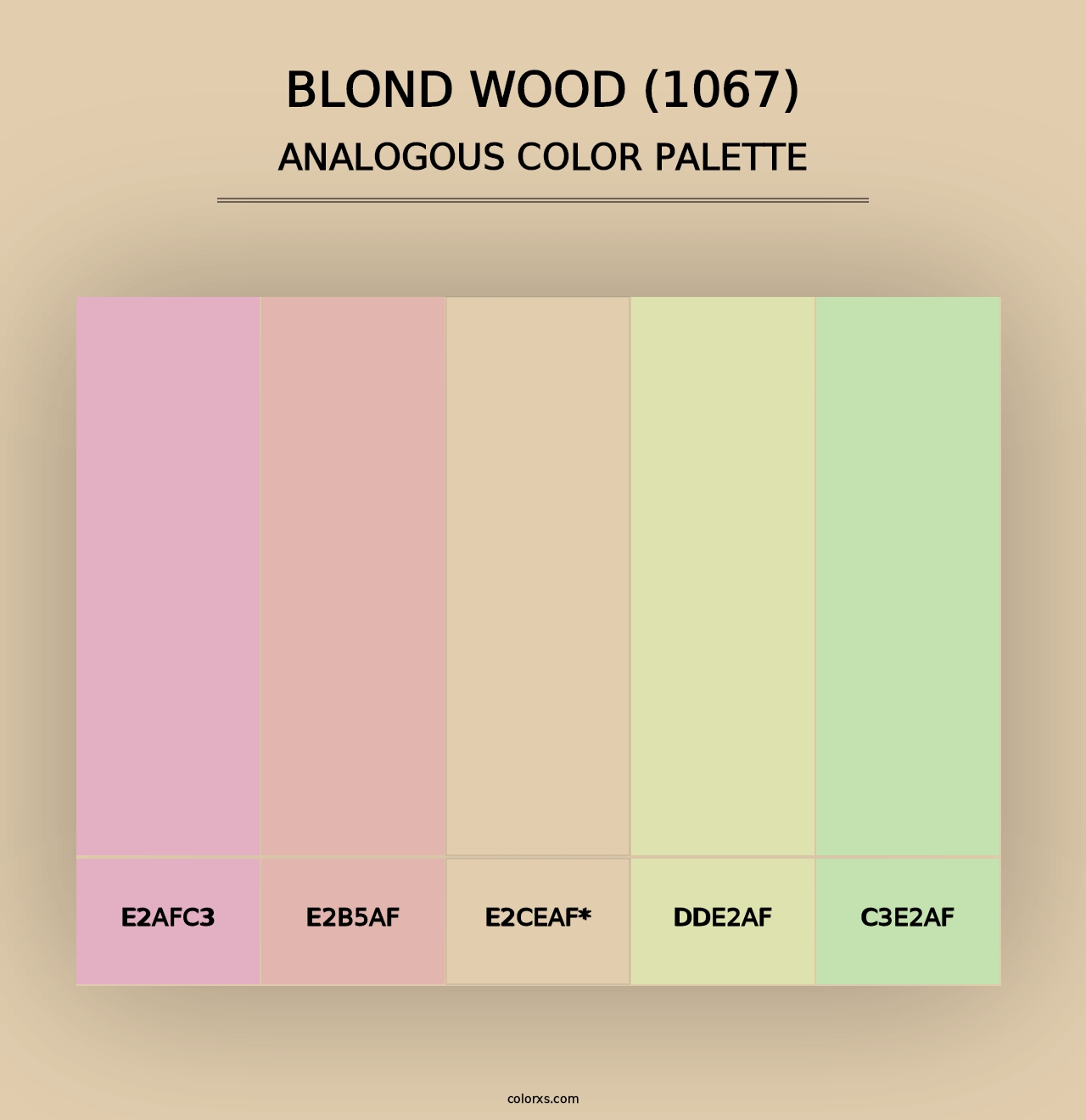 Blond Wood (1067) - Analogous Color Palette