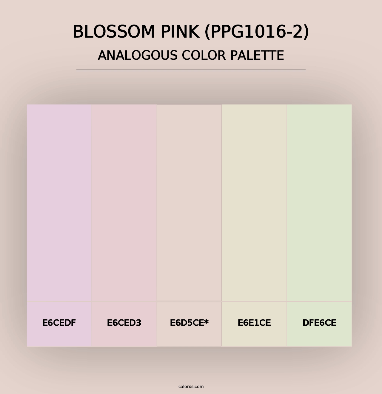 Blossom Pink (PPG1016-2) - Analogous Color Palette