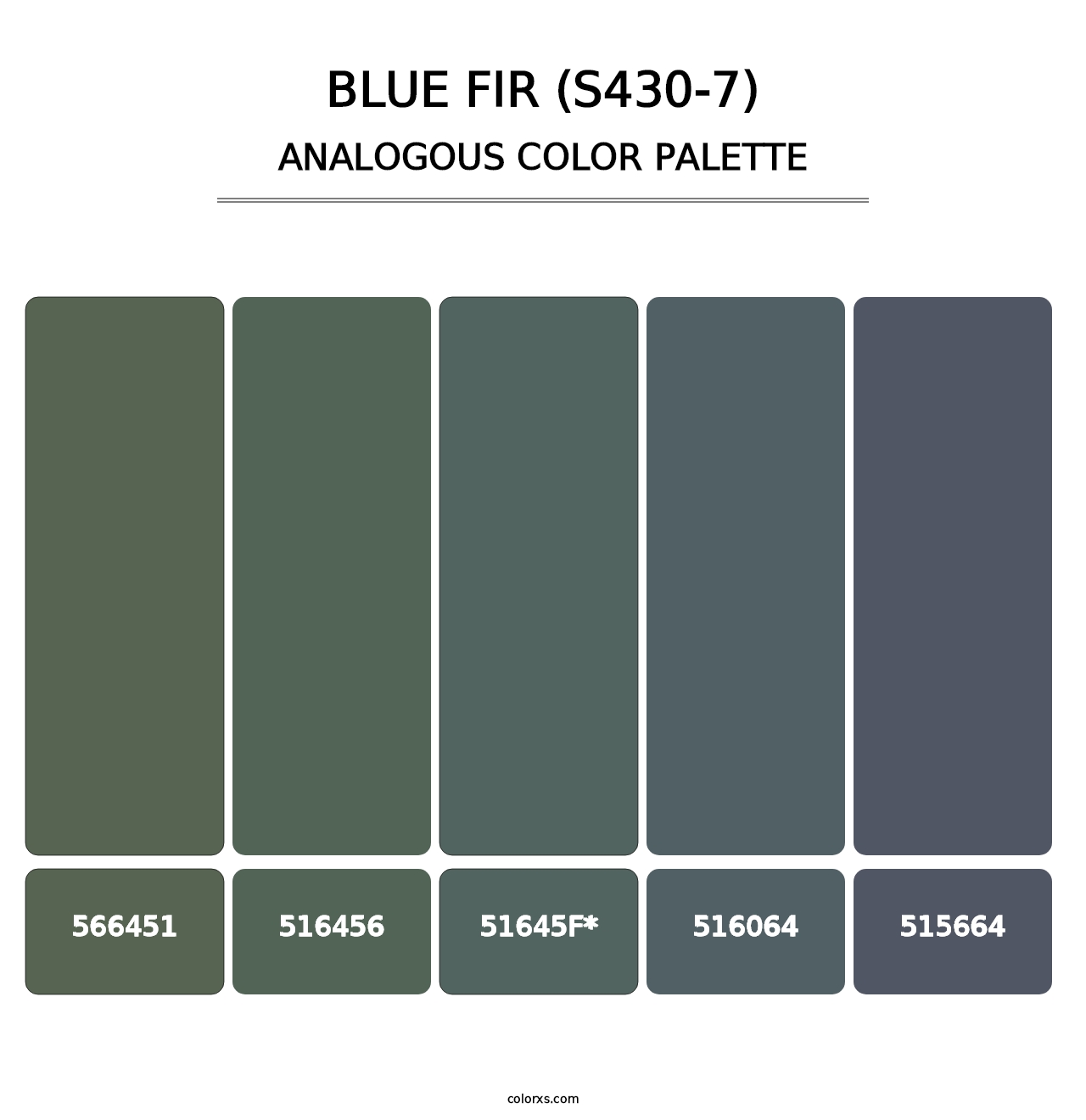 Blue Fir (S430-7) - Analogous Color Palette