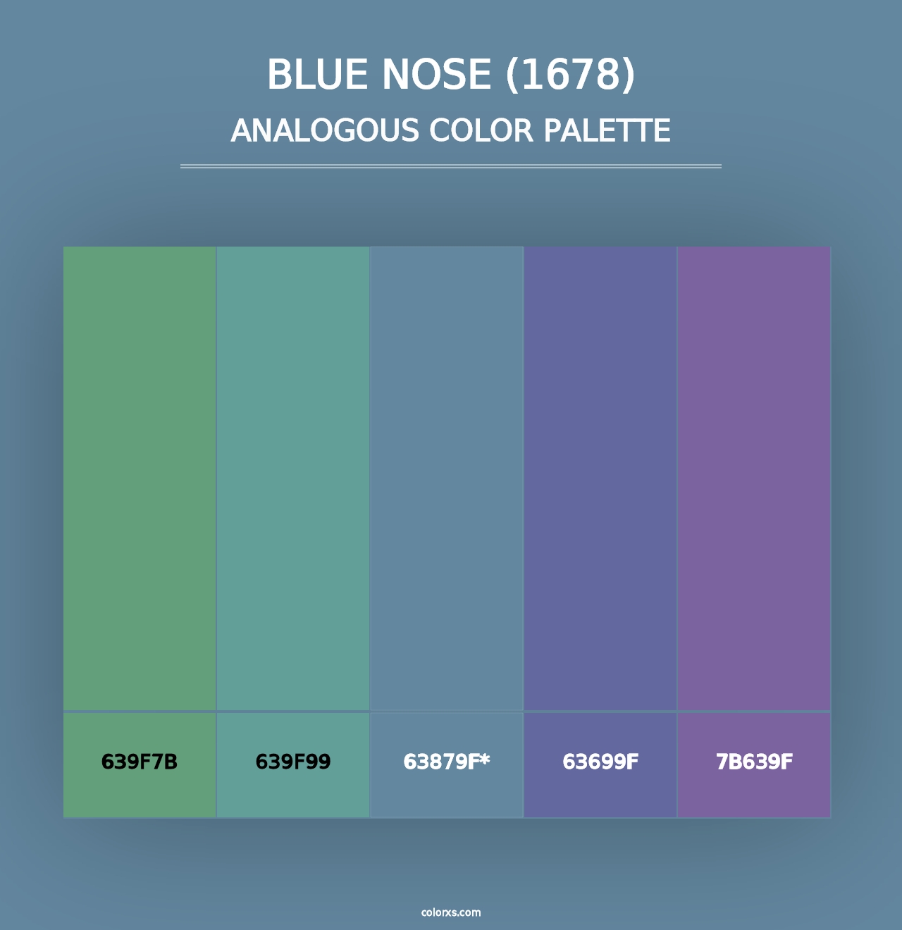 Blue Nose (1678) - Analogous Color Palette