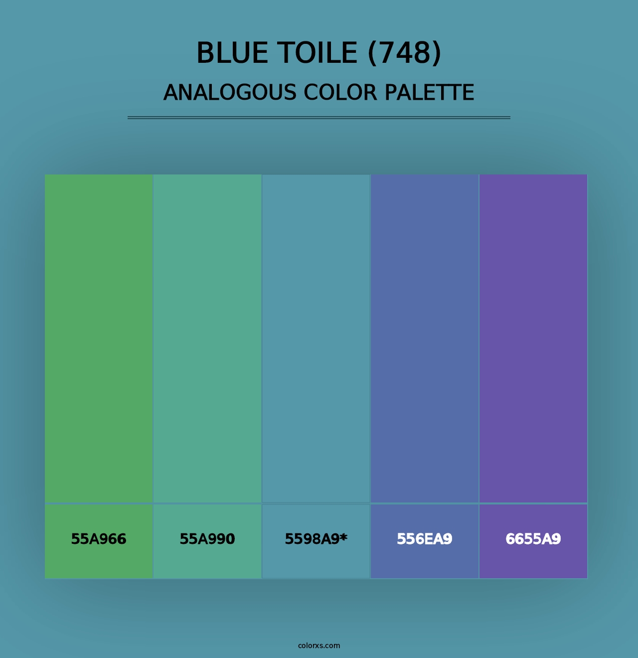 Blue Toile (748) - Analogous Color Palette