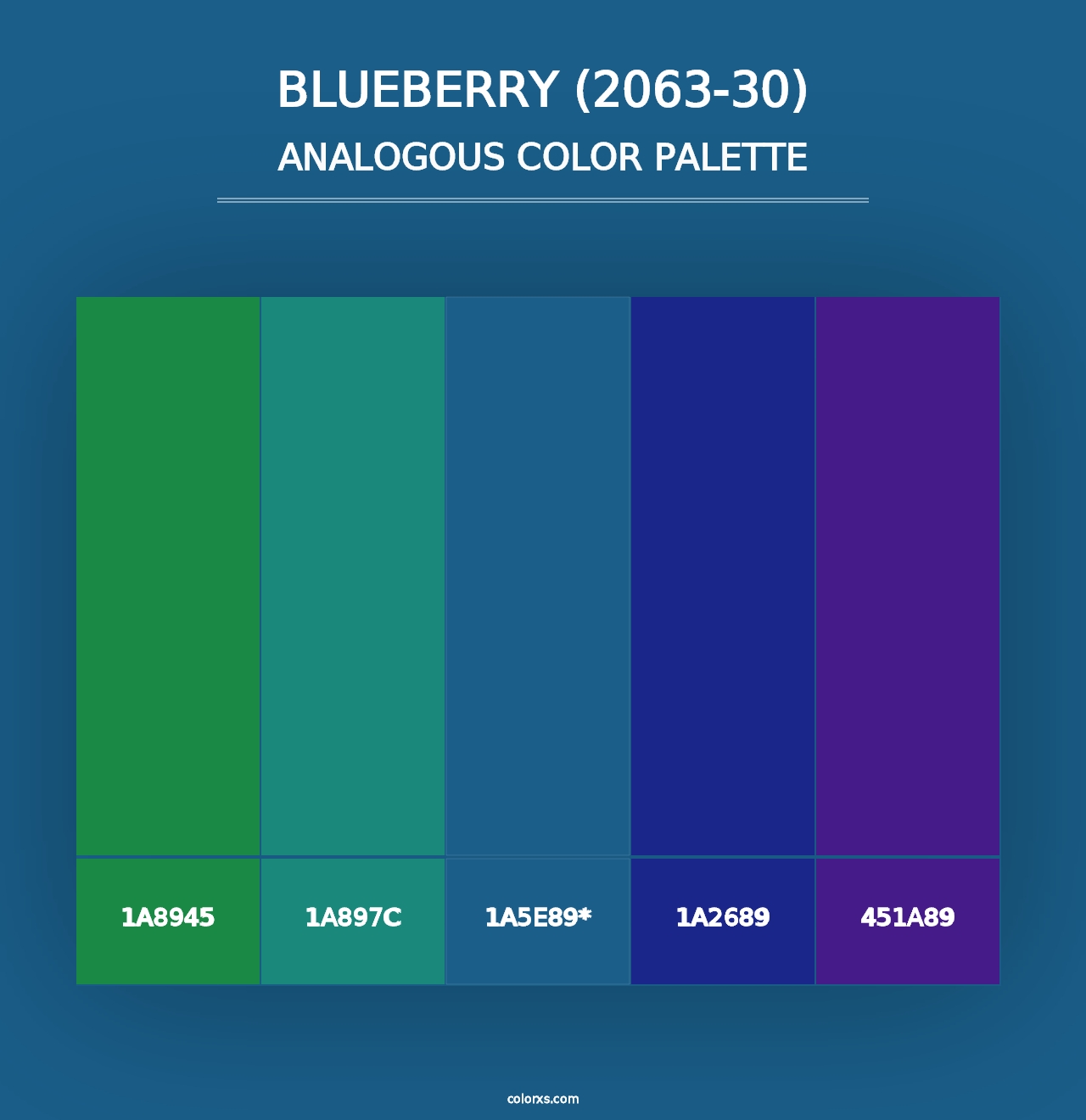 Blueberry (2063-30) - Analogous Color Palette