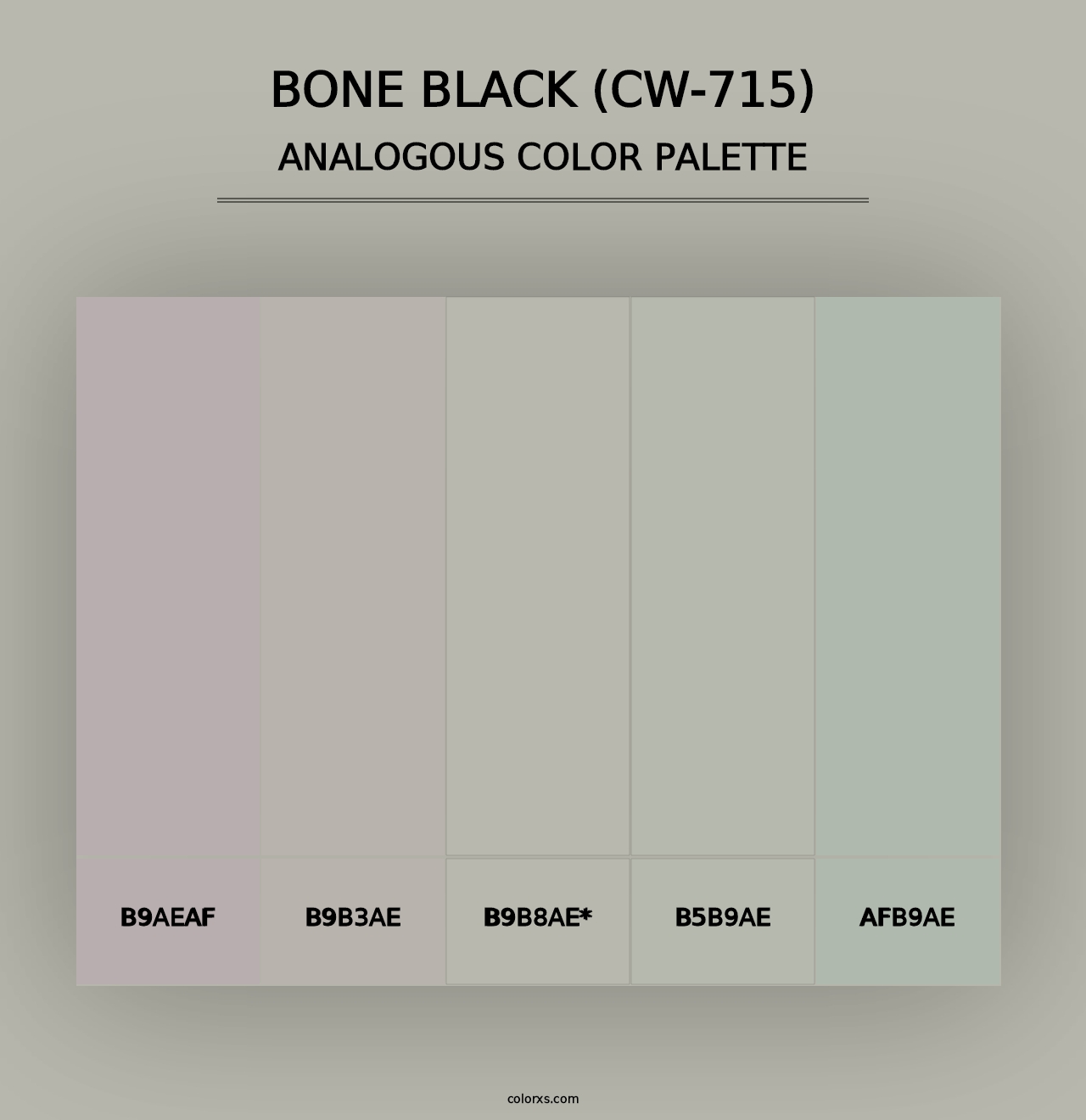 Bone Black (CW-715) - Analogous Color Palette