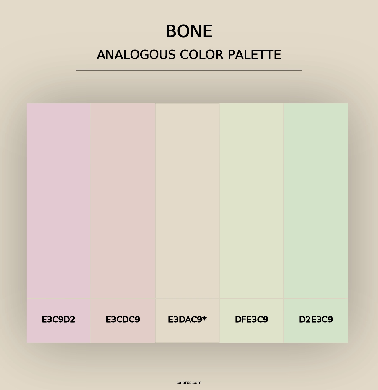 Bone - Analogous Color Palette