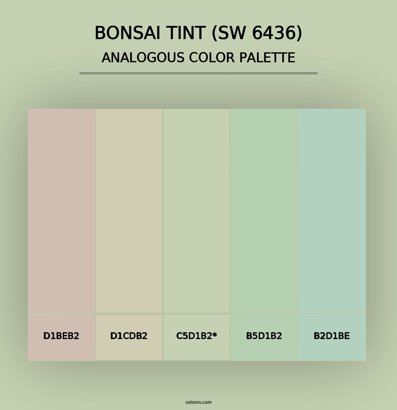 Bonsai Tint (SW 6436) - Analogous Color Palette