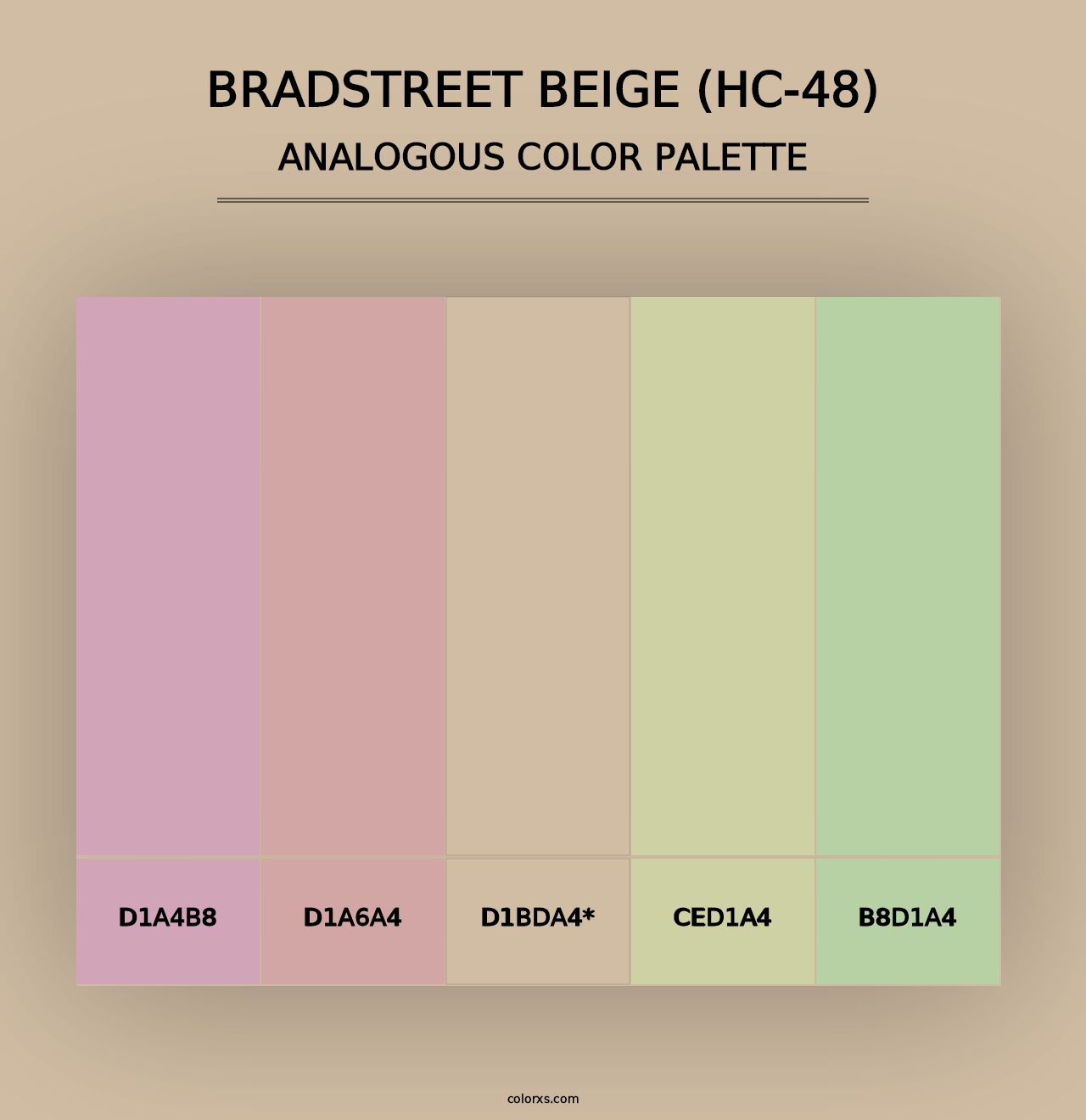 Bradstreet Beige (HC-48) - Analogous Color Palette