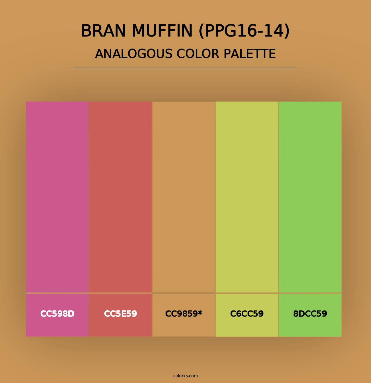 Bran Muffin (PPG16-14) - Analogous Color Palette