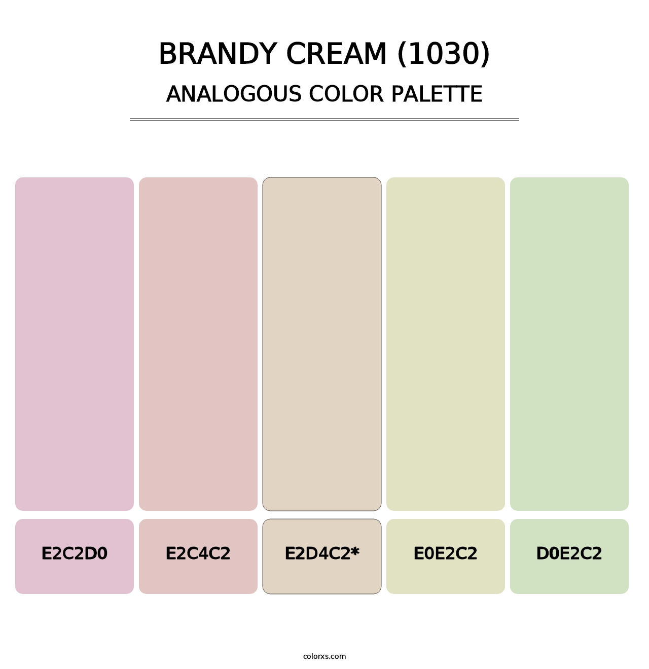 Brandy Cream (1030) - Analogous Color Palette