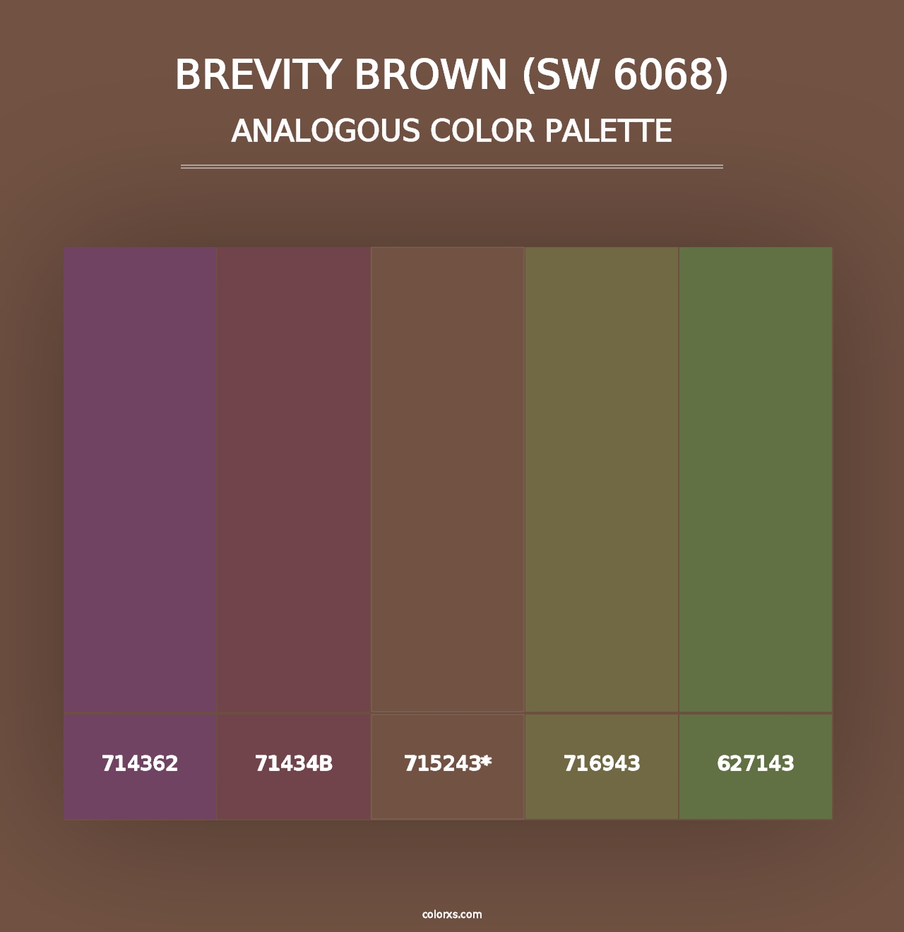 Brevity Brown (SW 6068) - Analogous Color Palette