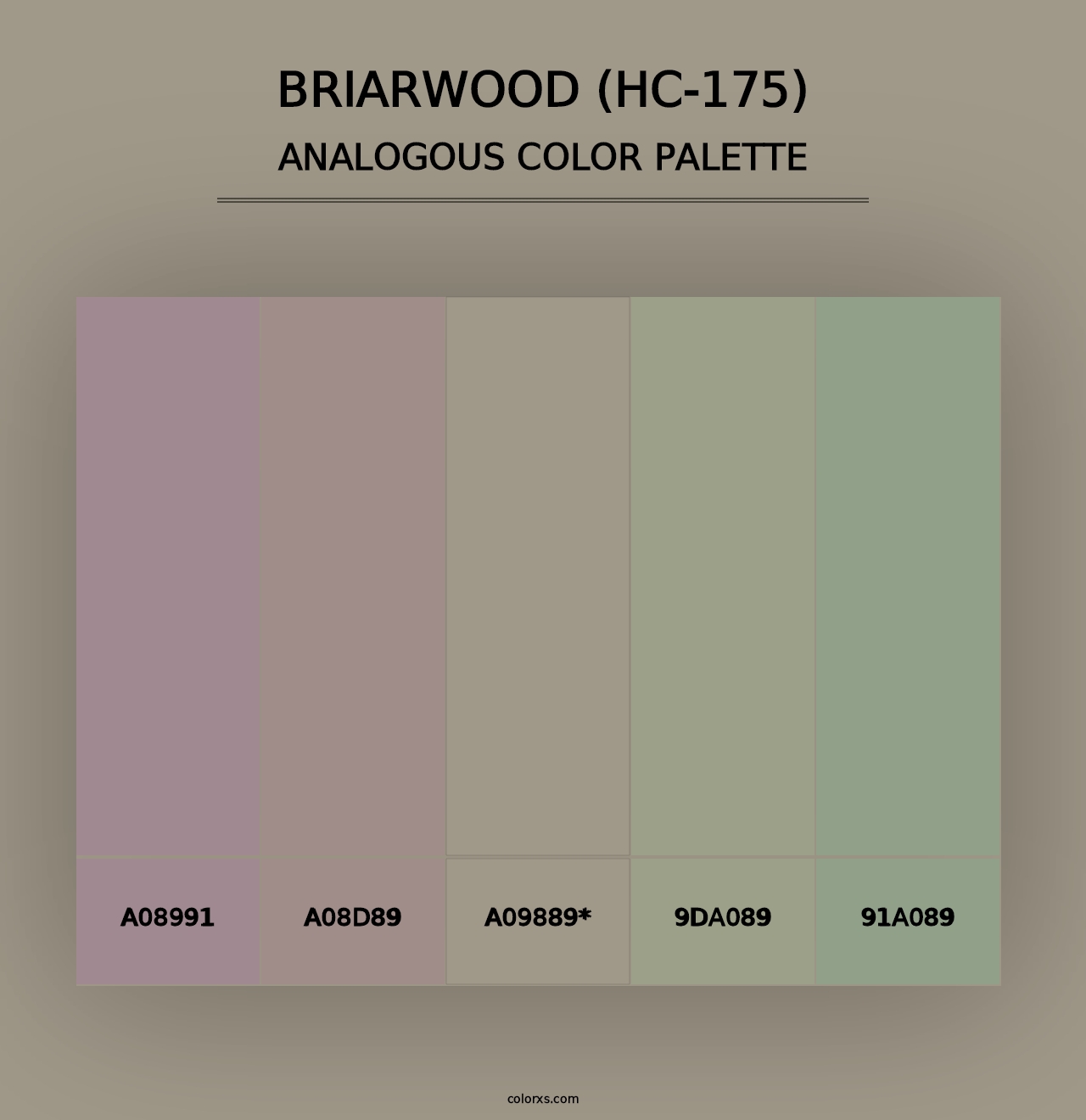 Briarwood (HC-175) - Analogous Color Palette