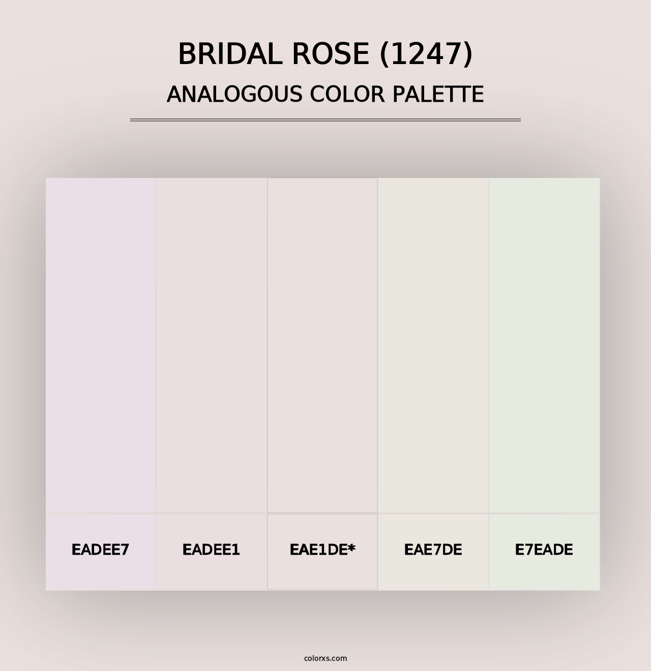 Bridal Rose (1247) - Analogous Color Palette