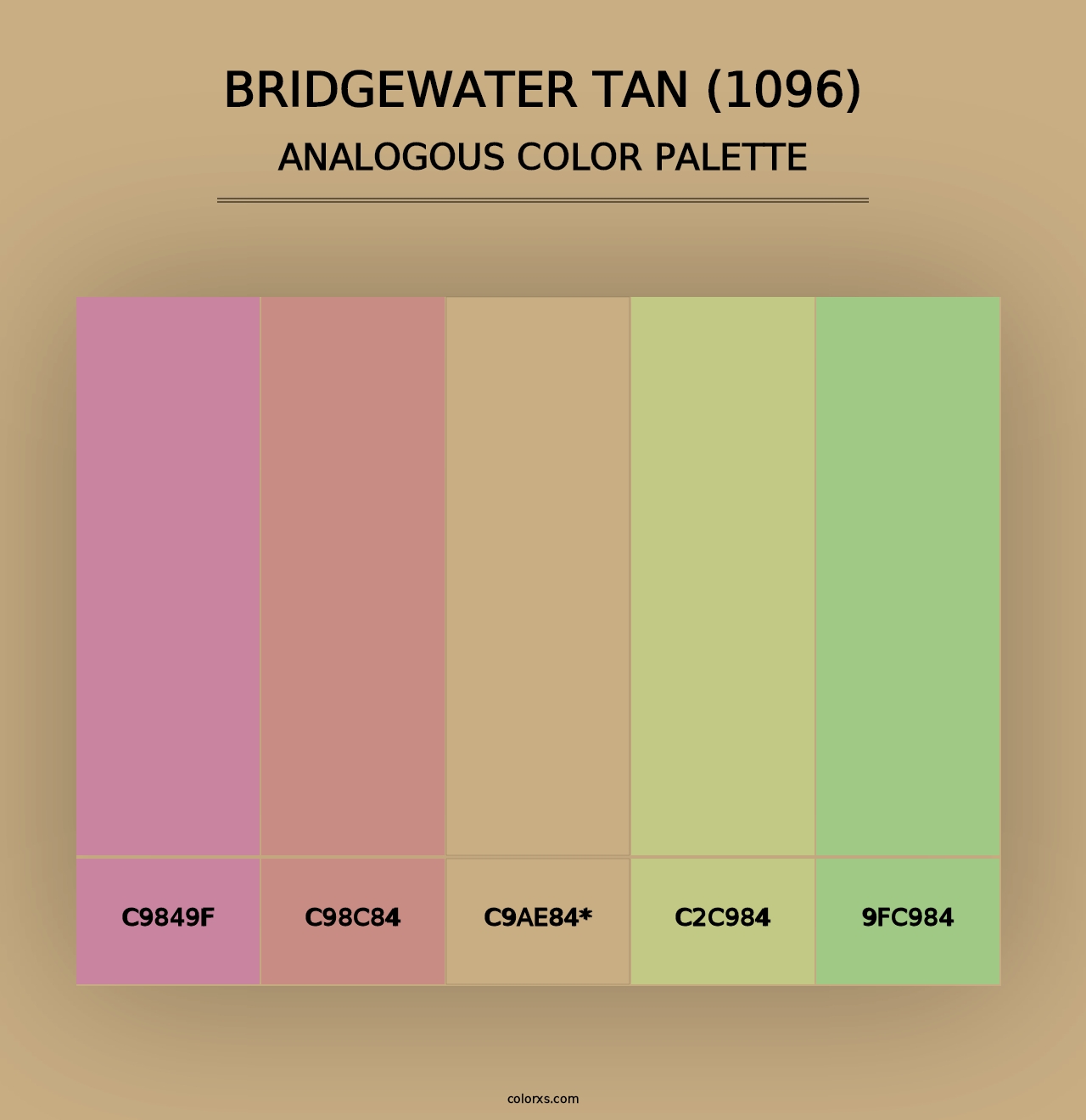 Bridgewater Tan (1096) - Analogous Color Palette