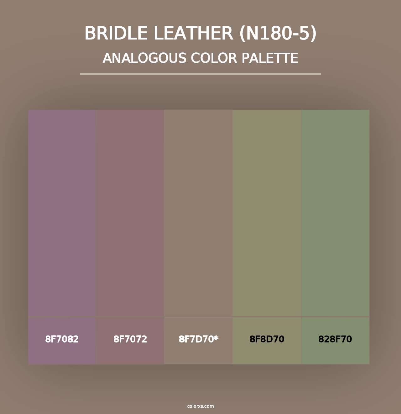 Bridle Leather (N180-5) - Analogous Color Palette