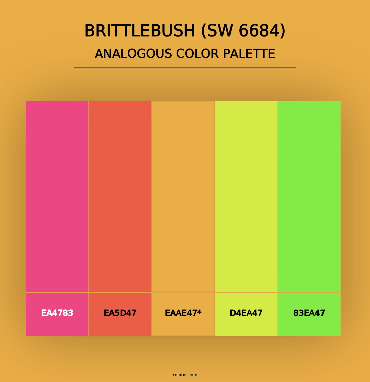 Brittlebush (SW 6684) - Analogous Color Palette