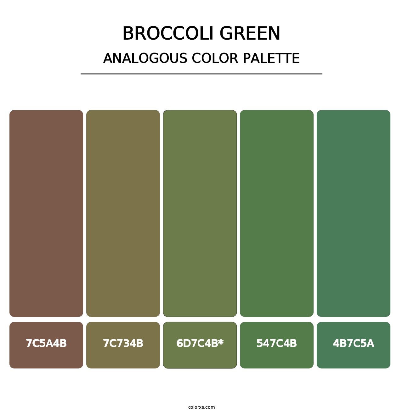 Broccoli Green - Analogous Color Palette