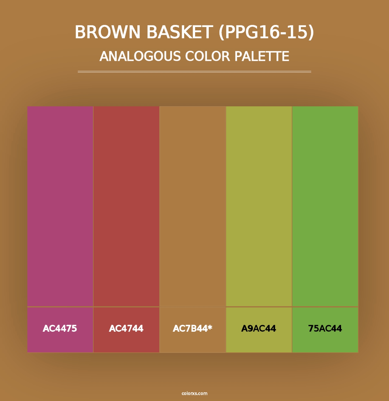 Brown Basket (PPG16-15) - Analogous Color Palette