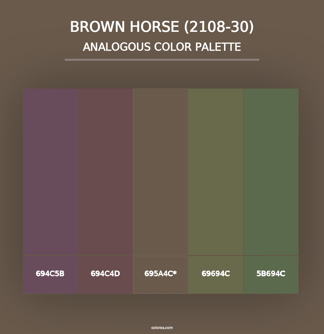 Brown Horse (2108-30) - Analogous Color Palette