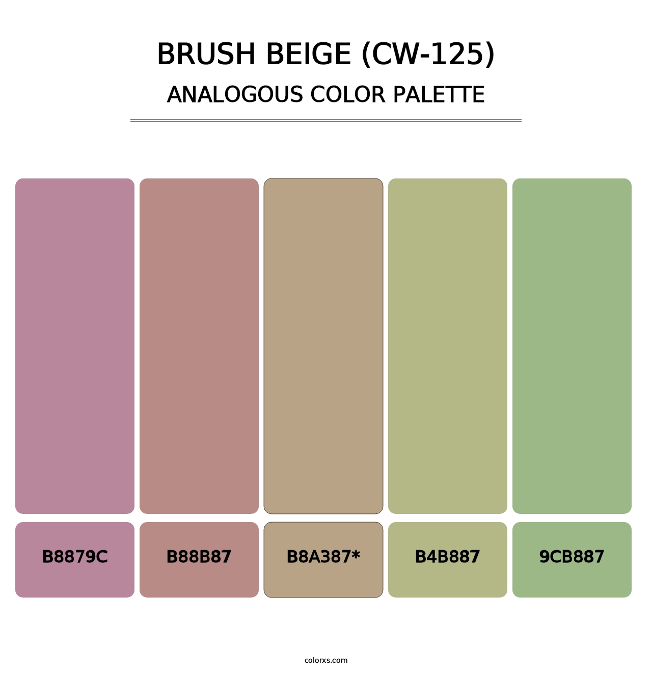 Brush Beige (CW-125) - Analogous Color Palette