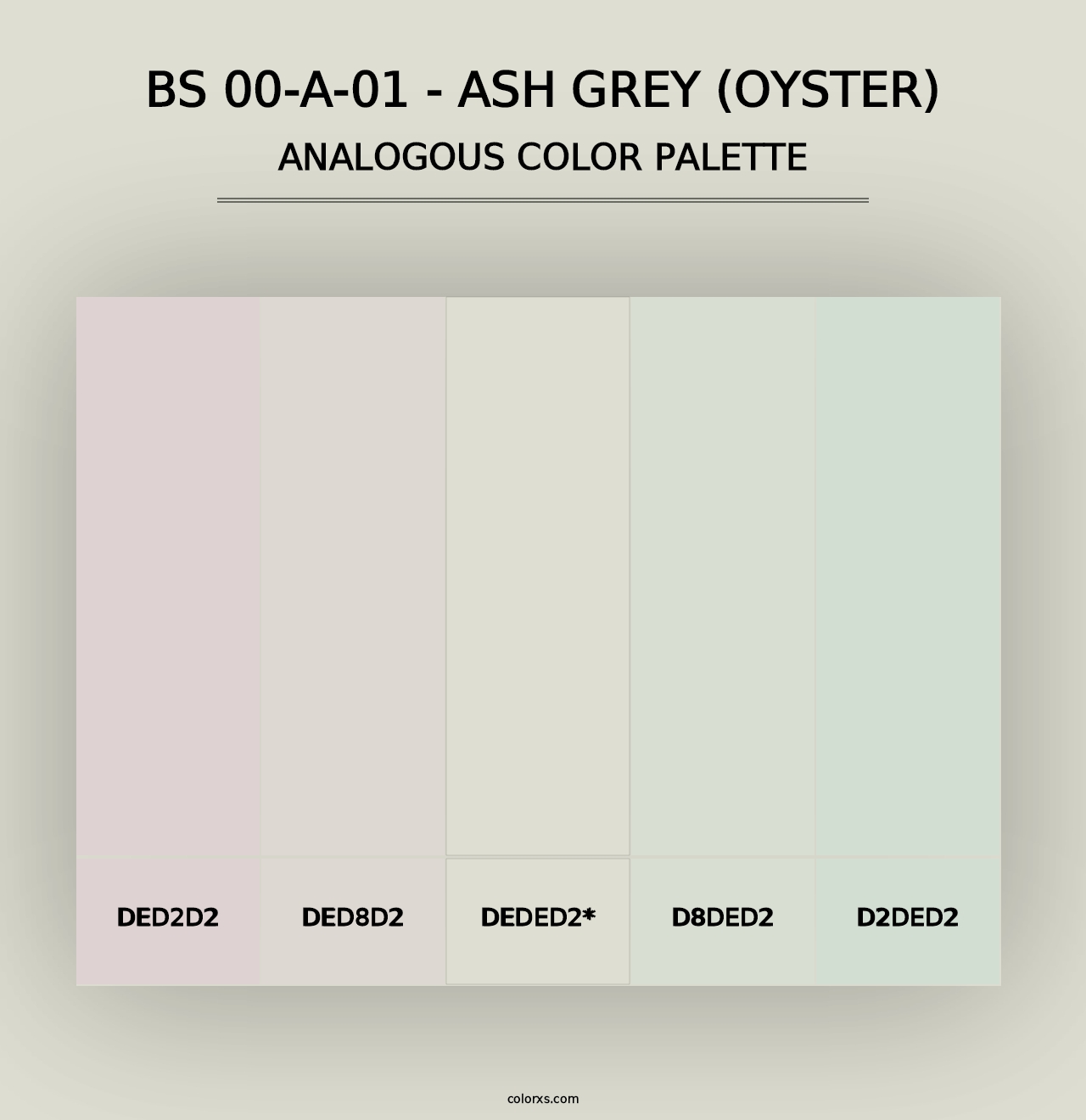 BS 00-A-01 - Ash Grey (Oyster) - Analogous Color Palette