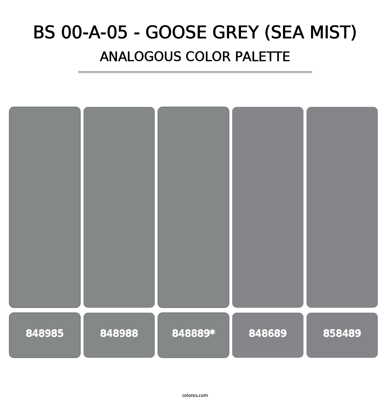 BS 00-A-05 - Goose Grey (Sea Mist) - Analogous Color Palette