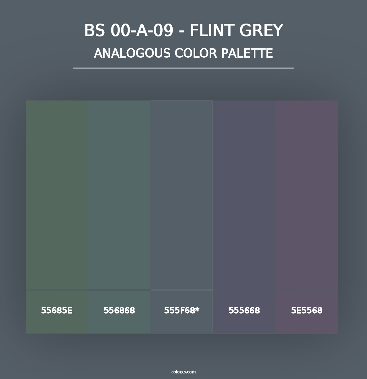 BS 00-A-09 - Flint Grey - Analogous Color Palette