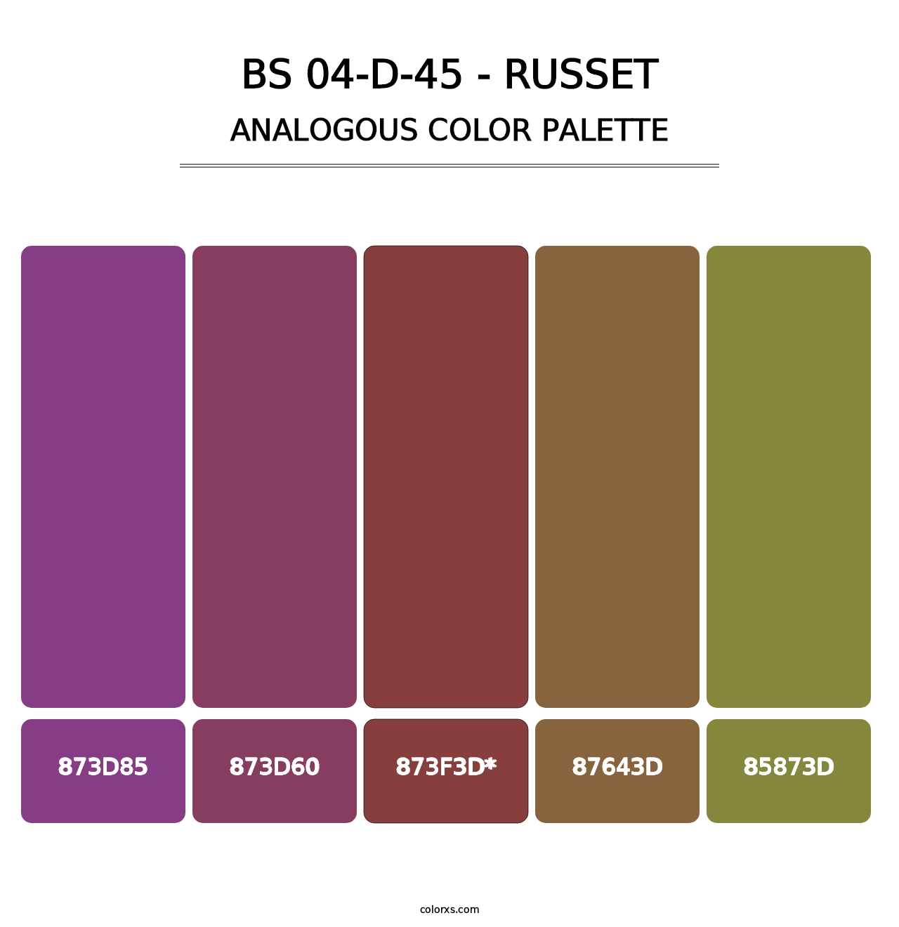 BS 04-D-45 - Russet - Analogous Color Palette