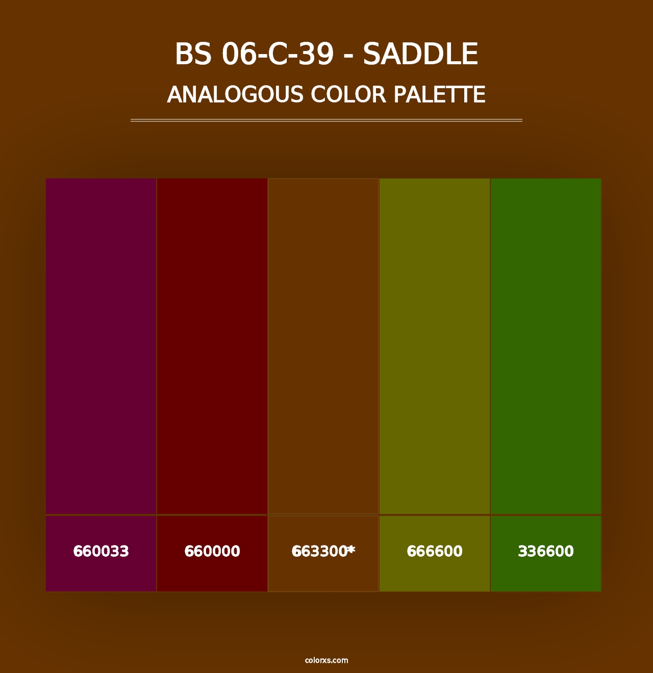 BS 06-C-39 - Saddle - Analogous Color Palette