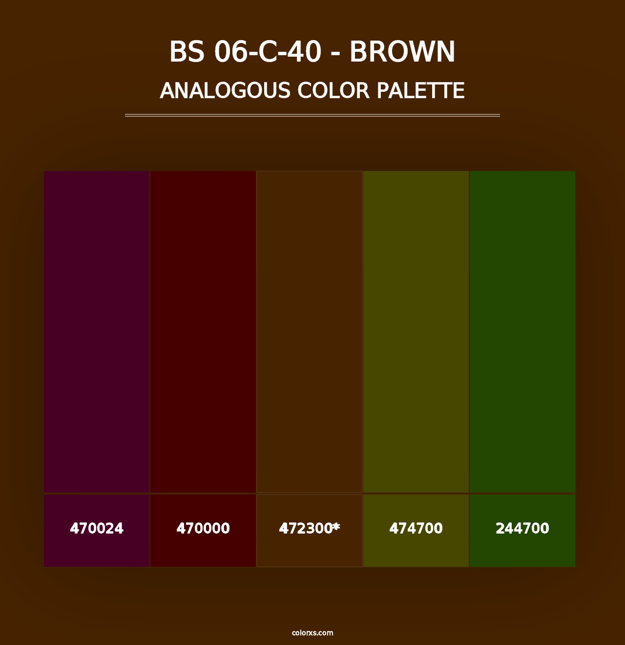 BS 06-C-40 - Brown - Analogous Color Palette