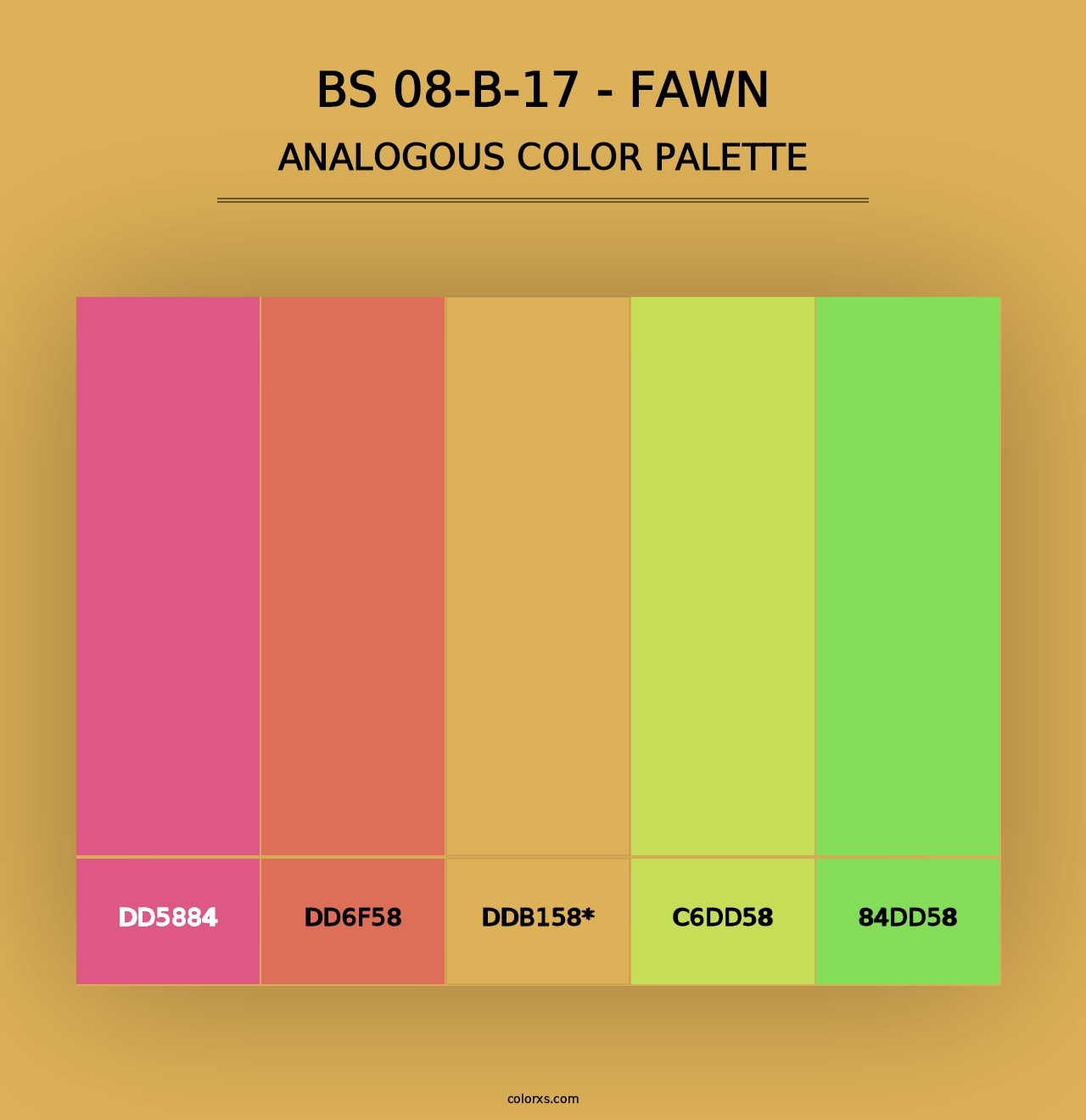 BS 08-B-17 - Fawn - Analogous Color Palette