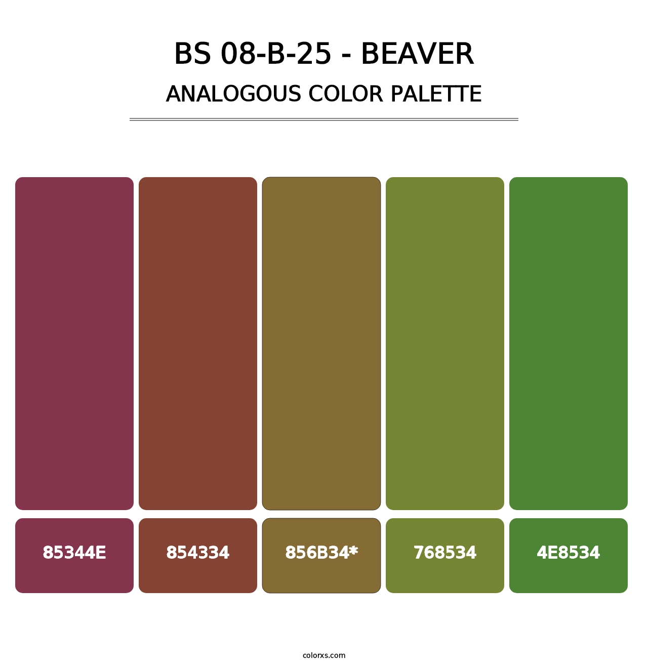 BS 08-B-25 - Beaver - Analogous Color Palette