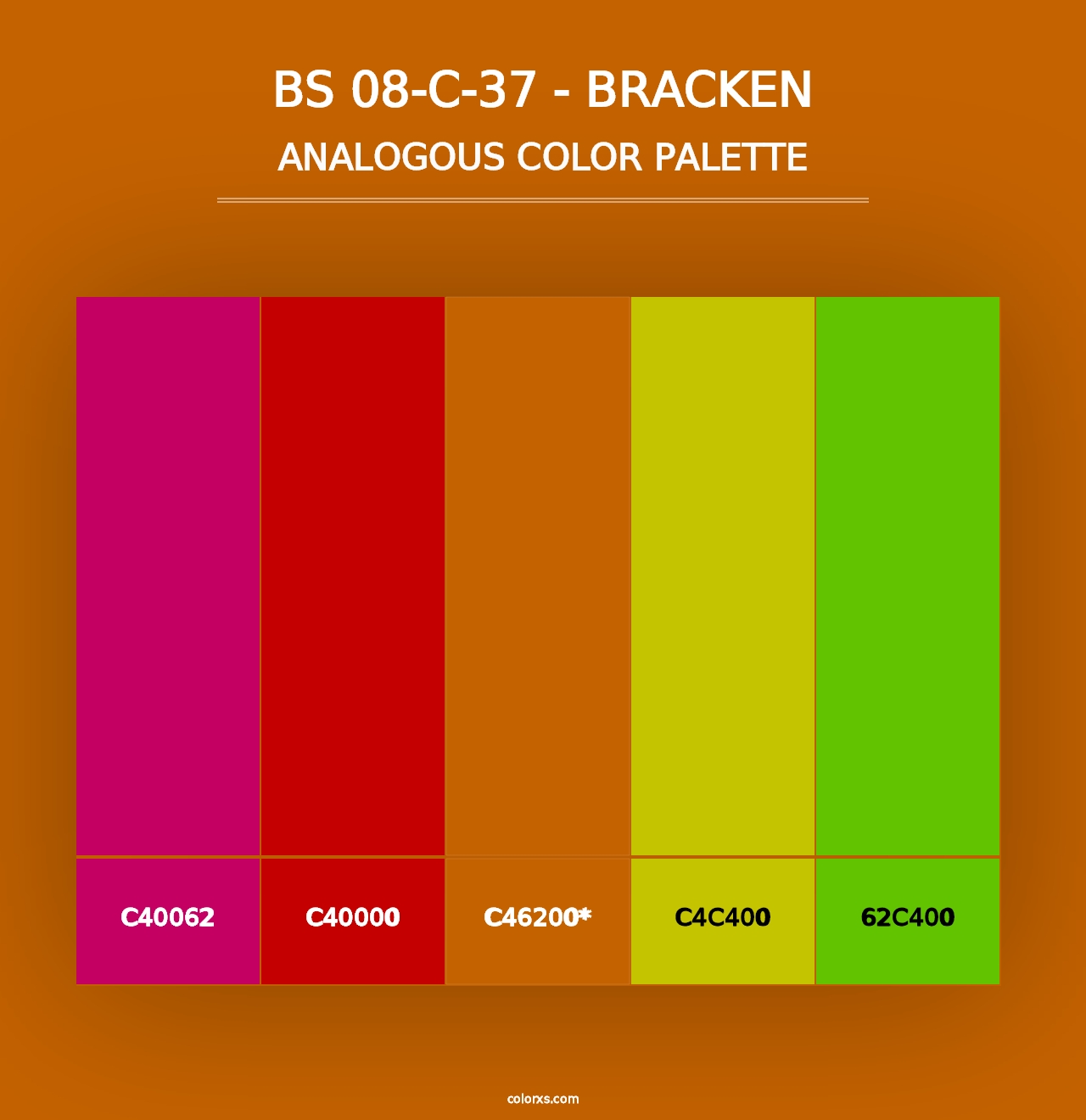 BS 08-C-37 - Bracken - Analogous Color Palette