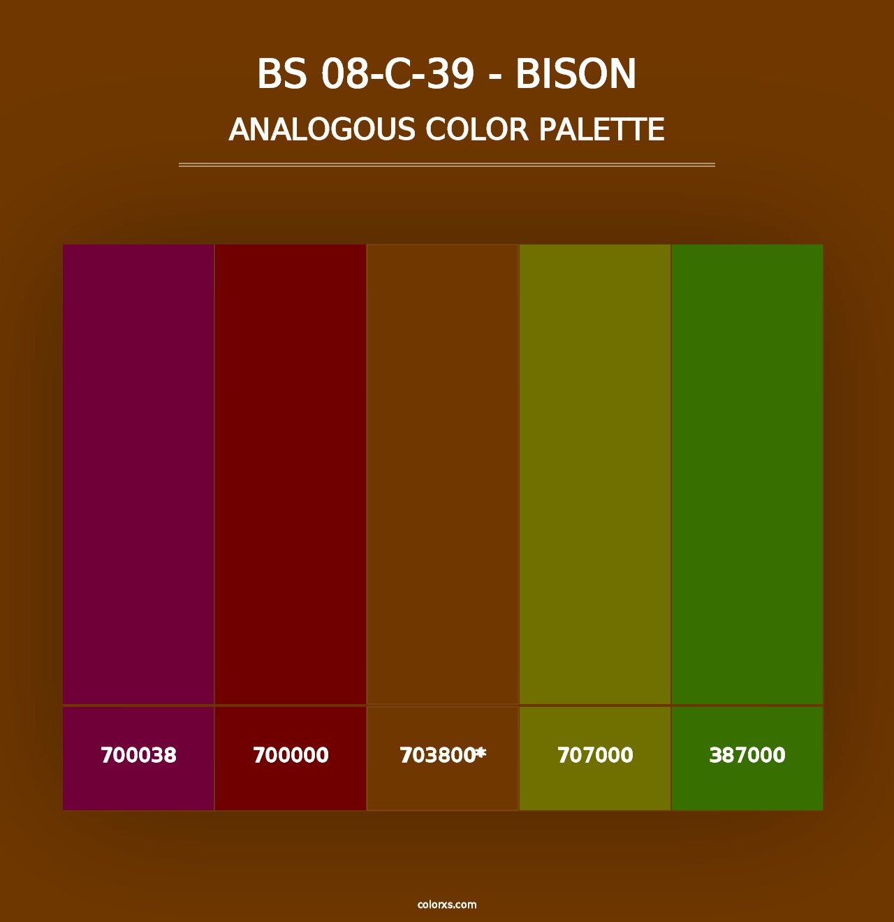 BS 08-C-39 - Bison - Analogous Color Palette