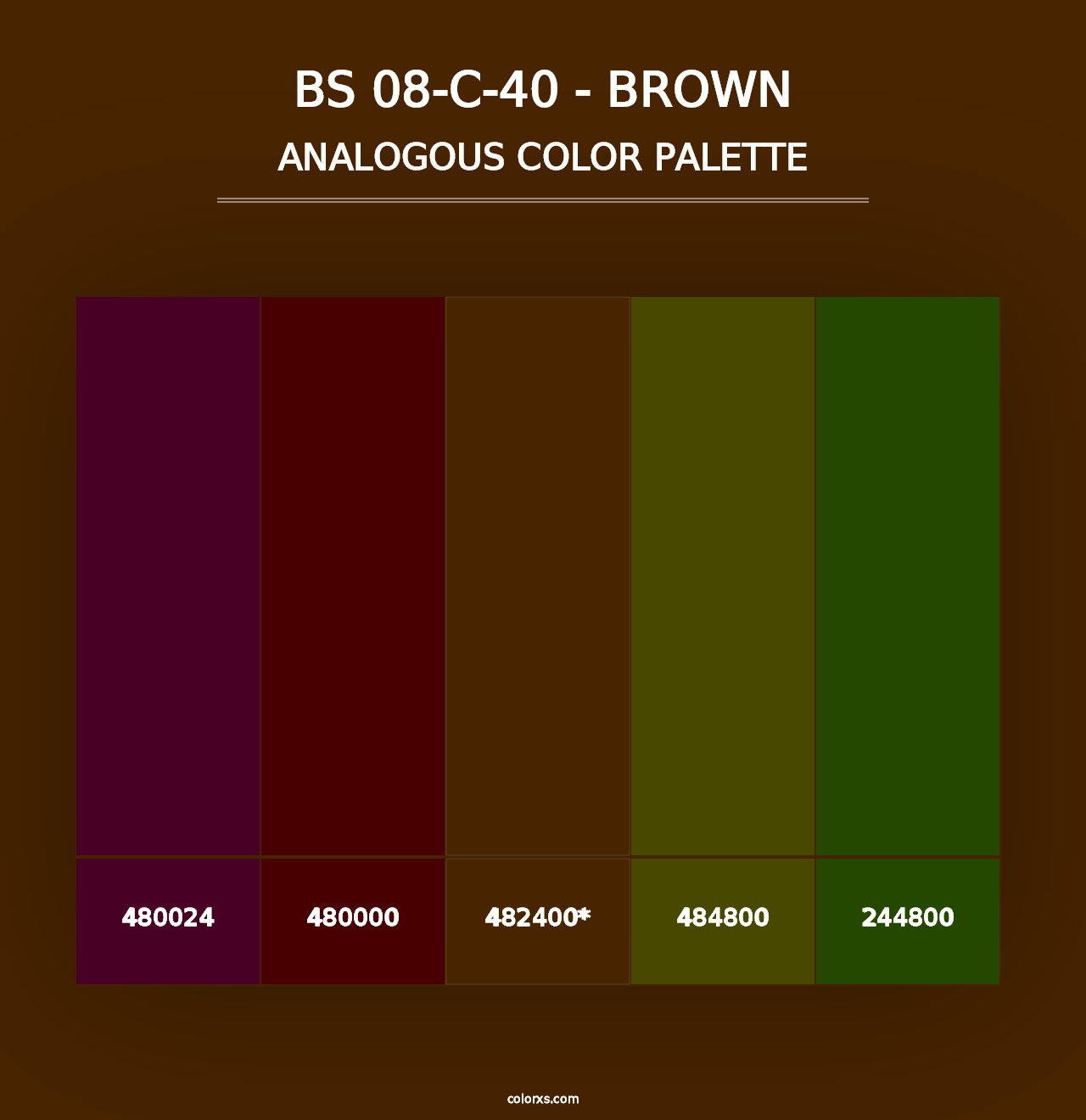 BS 08-C-40 - Brown - Analogous Color Palette