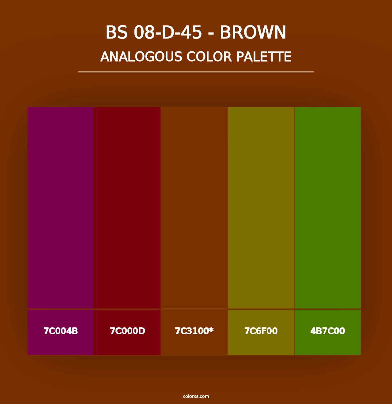 BS 08-D-45 - Brown - Analogous Color Palette