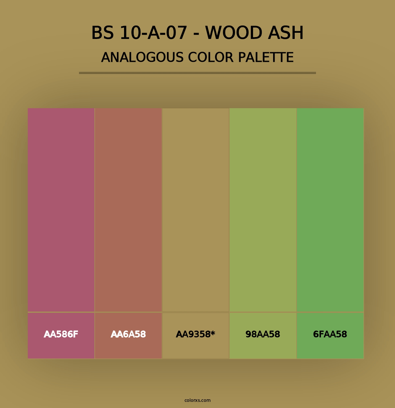 BS 10-A-07 - Wood Ash - Analogous Color Palette