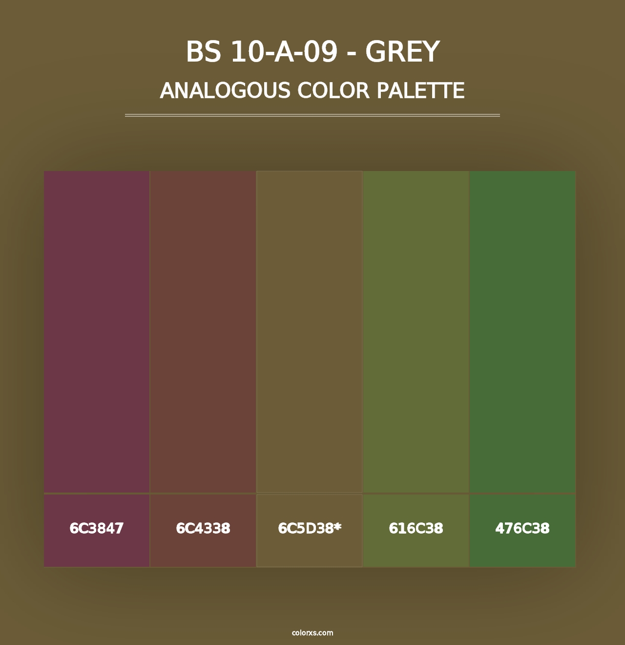 BS 10-A-09 - Grey - Analogous Color Palette