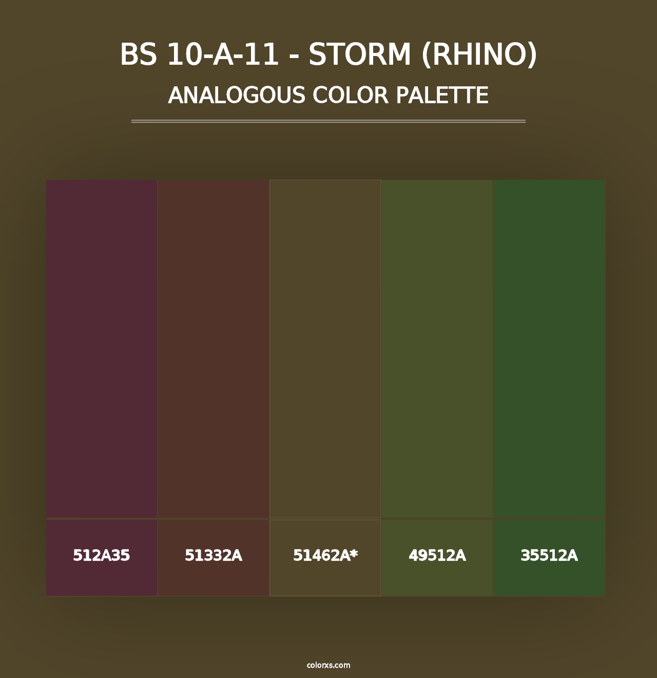 BS 10-A-11 - Storm (Rhino) - Analogous Color Palette