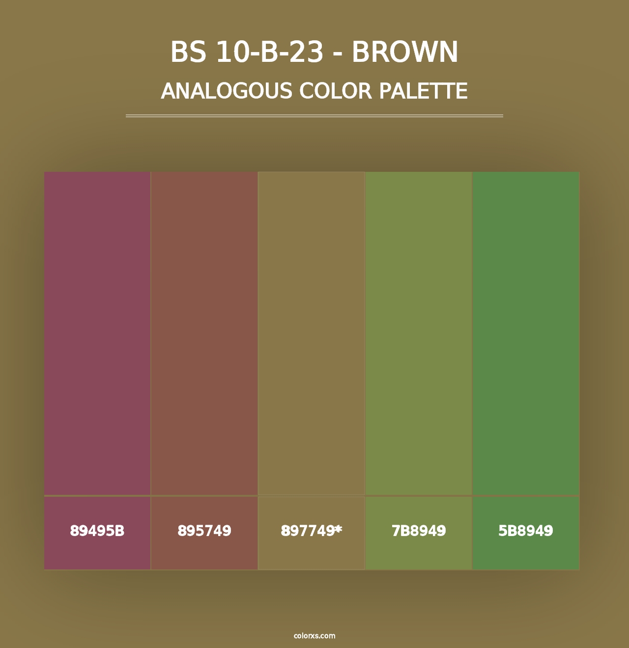 BS 10-B-23 - Brown - Analogous Color Palette